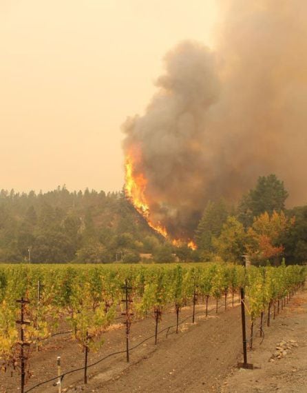 Vista general de un incendio forestal cerca de los viñedos Bellissimo, a pocos kilómetro de Calistoga, en el estado de California (EE UU), el pasado 11 de octubre.