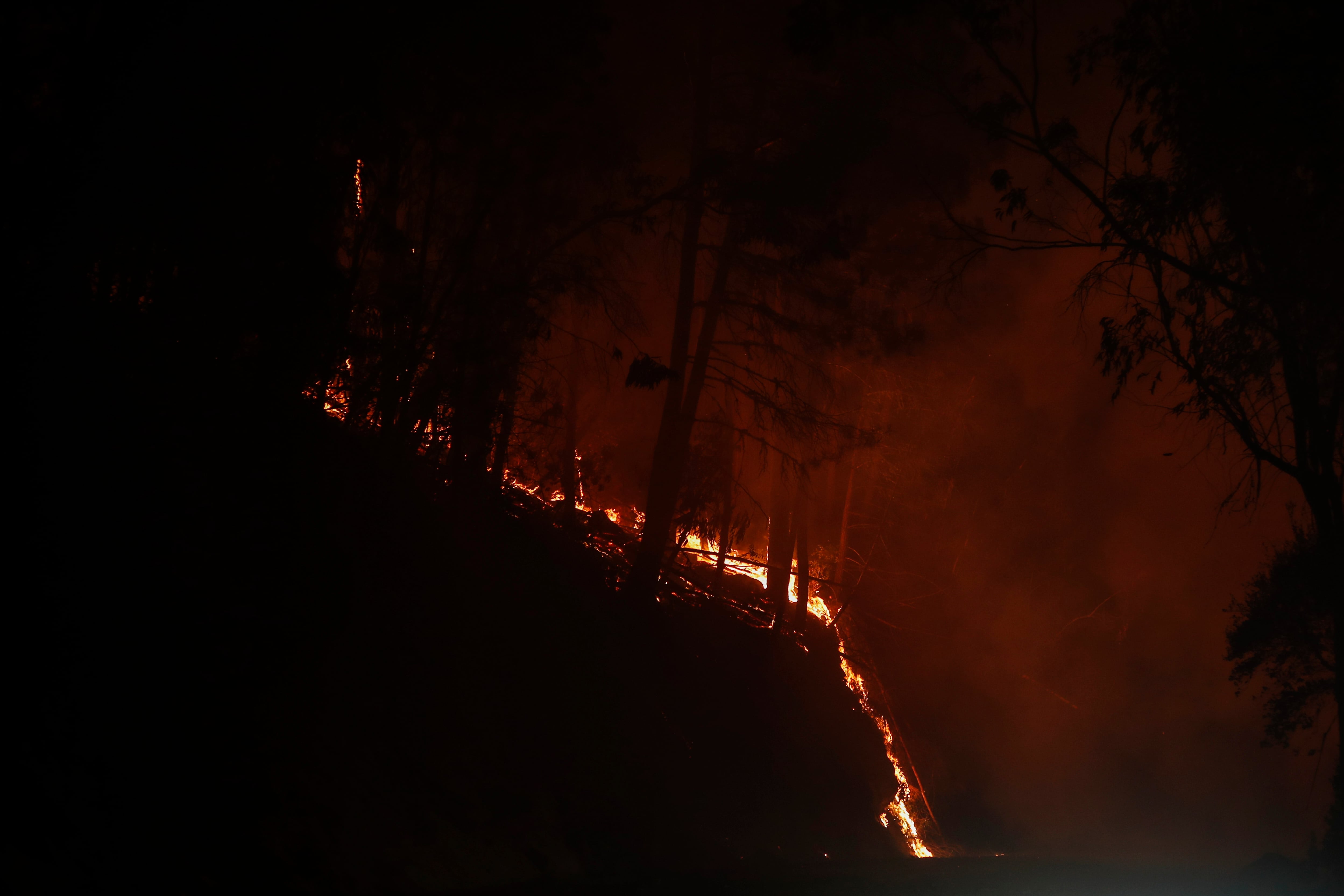 Incendios en Ourense
EFE/ Pedro Eliseo Agrelo Trigo
