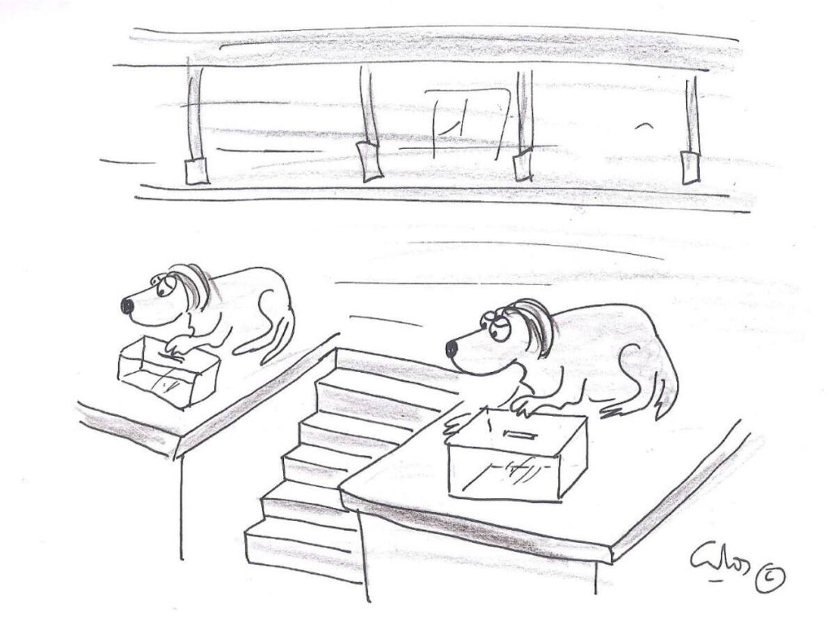 "La viñeta de Villanueva"