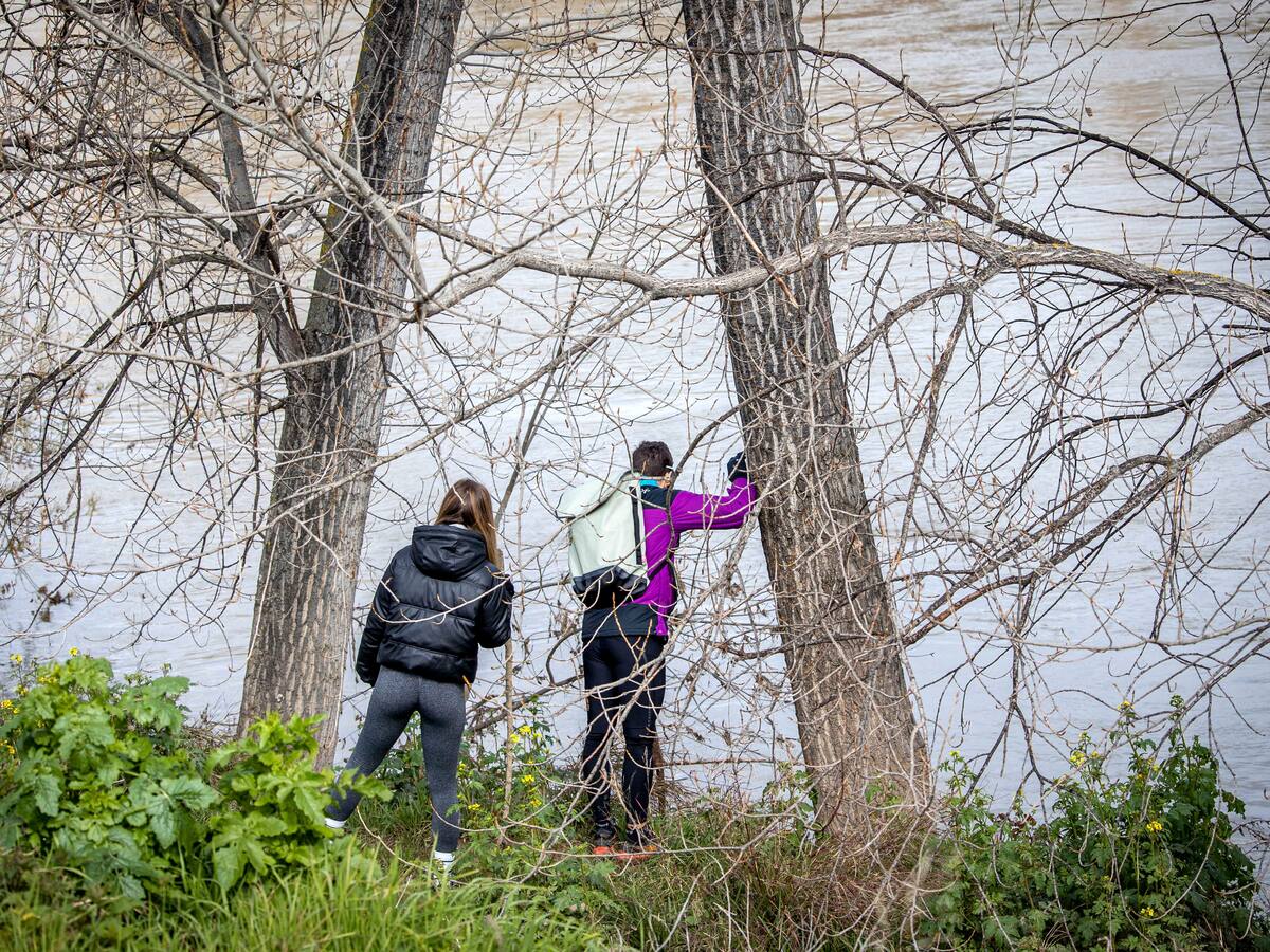 Quinto día de búsqueda de Javier Márquez en Logroño