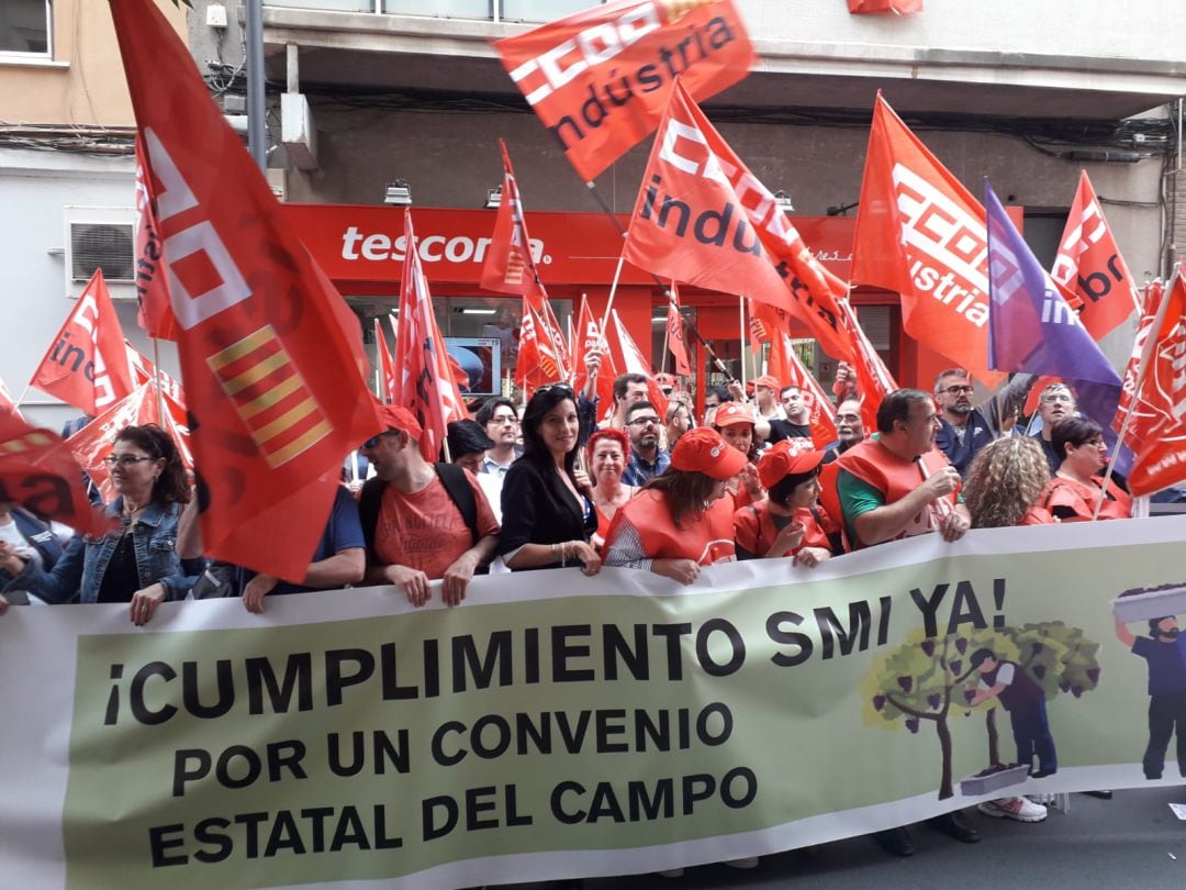 Temporeros de toda la Comunitat Valenciana se han concentrado ante la sede en Alicante de la patronal FEXPHAL, la Federación de Empresarios de Frutos y Productos Hortícolas.