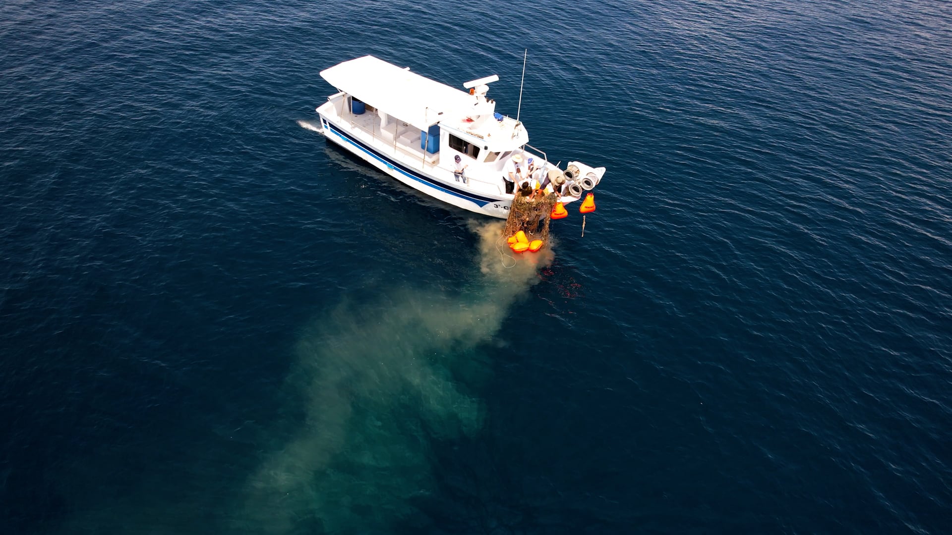 Redes de pesca extraídas del mar