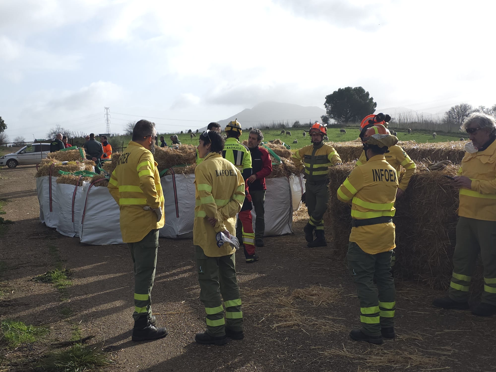 Dispositivo de emergencias para asistir a un rebajo aislado en Arroyo de San Serván