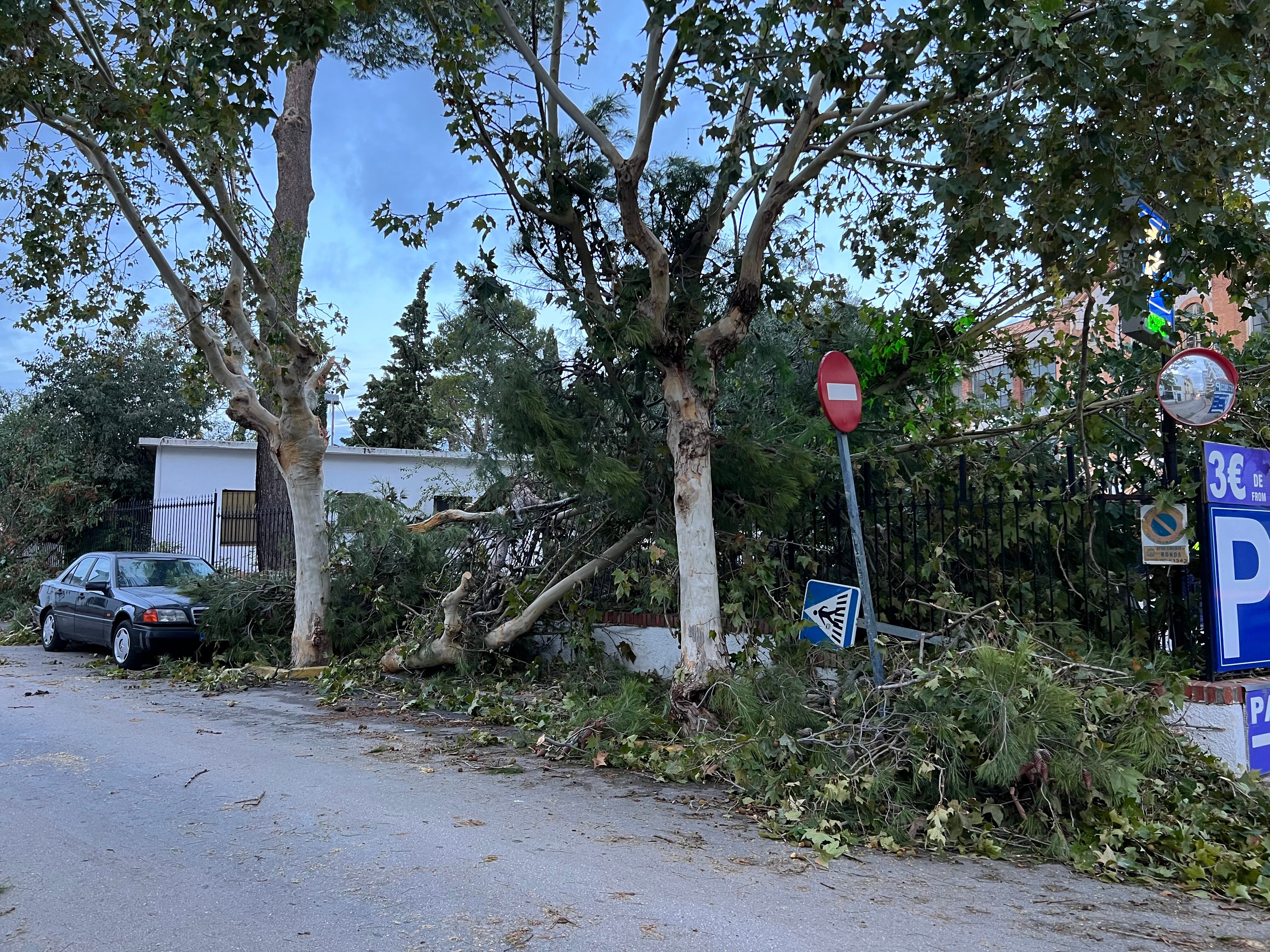 Avenida Poeta Rilke de Ronda tras el temporal de este domingo