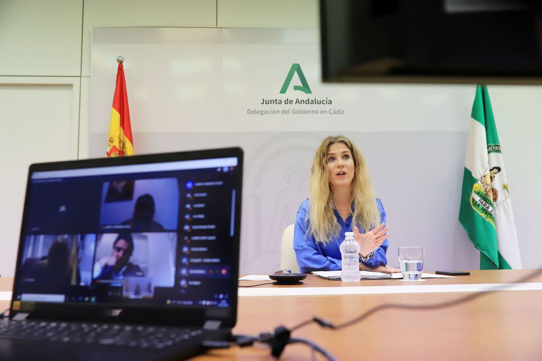 Ana Mestre durante el Foro celebrado de manera telemática
