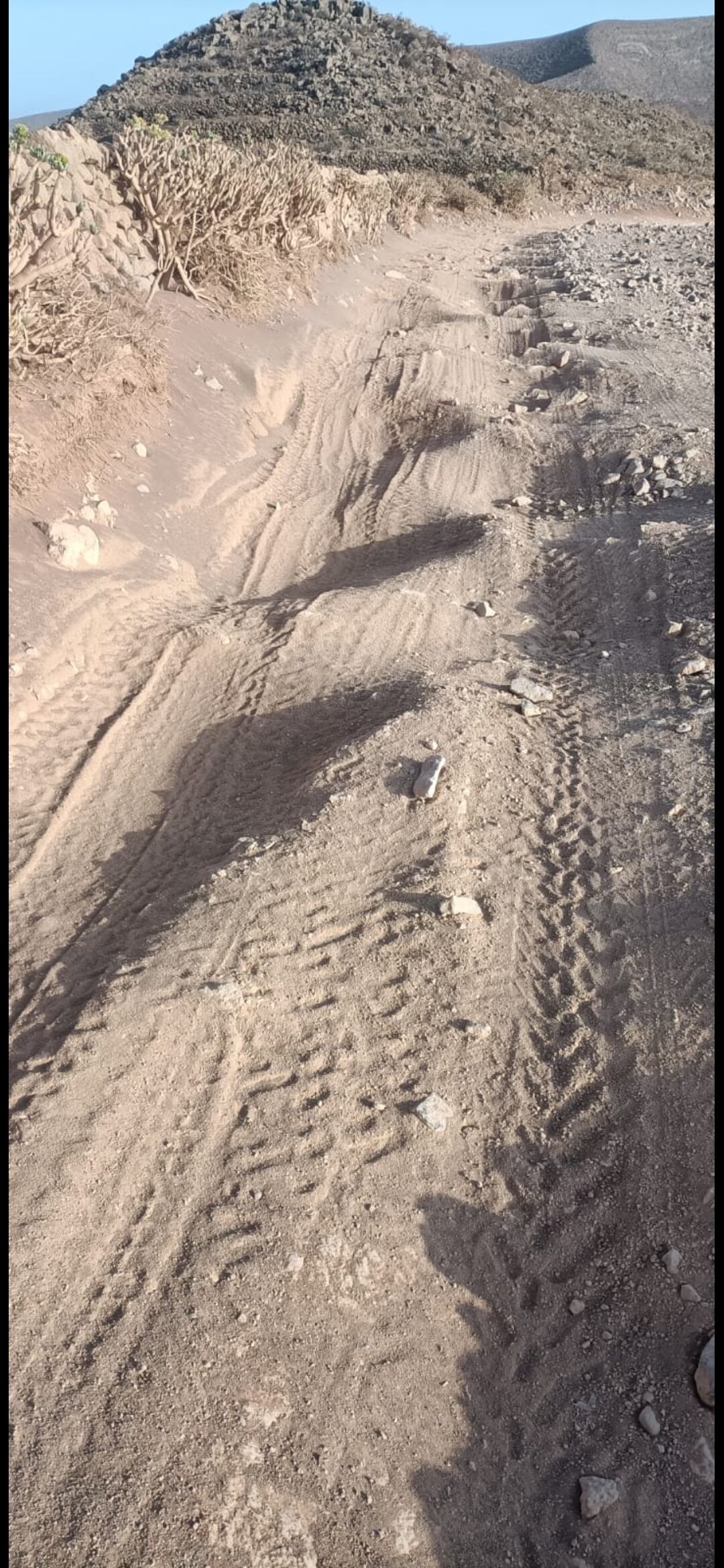 Rastro dejado por buggies turísticos.