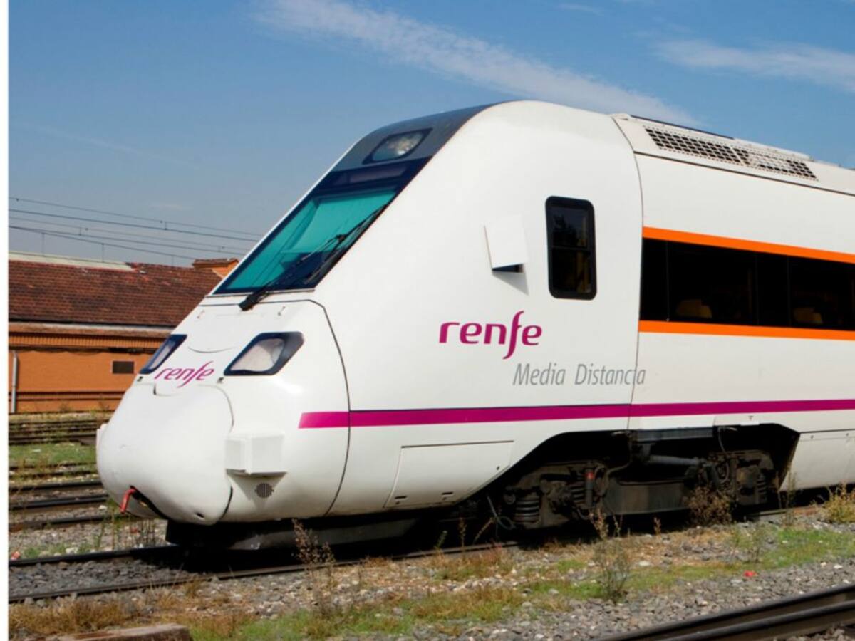 Renfe reforzará el mantenimiento de los 'trenes rana'