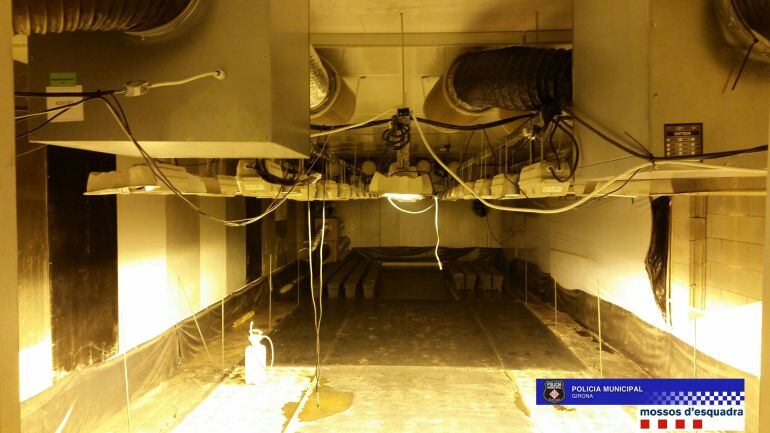 Interior de la nau de Taialà utilitzada per plantar marihuana