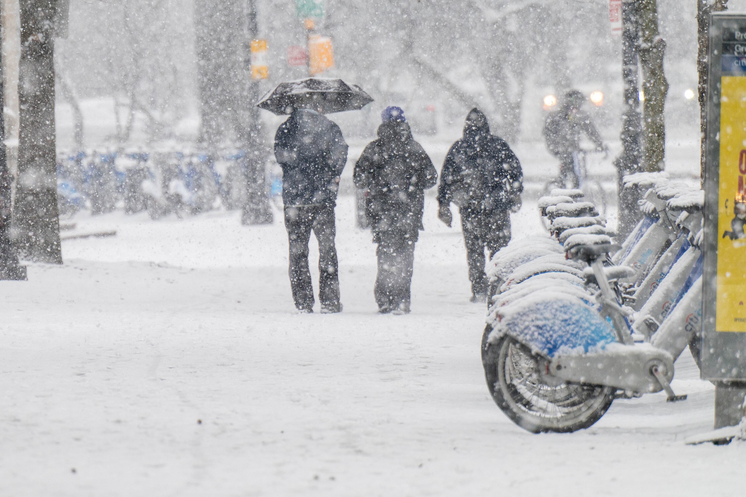 Las escuelas permanecerán cerradas este lunes 26 de enero. (Theodore Parisienne/New York Daily News/Tribune News Service via Getty Images)