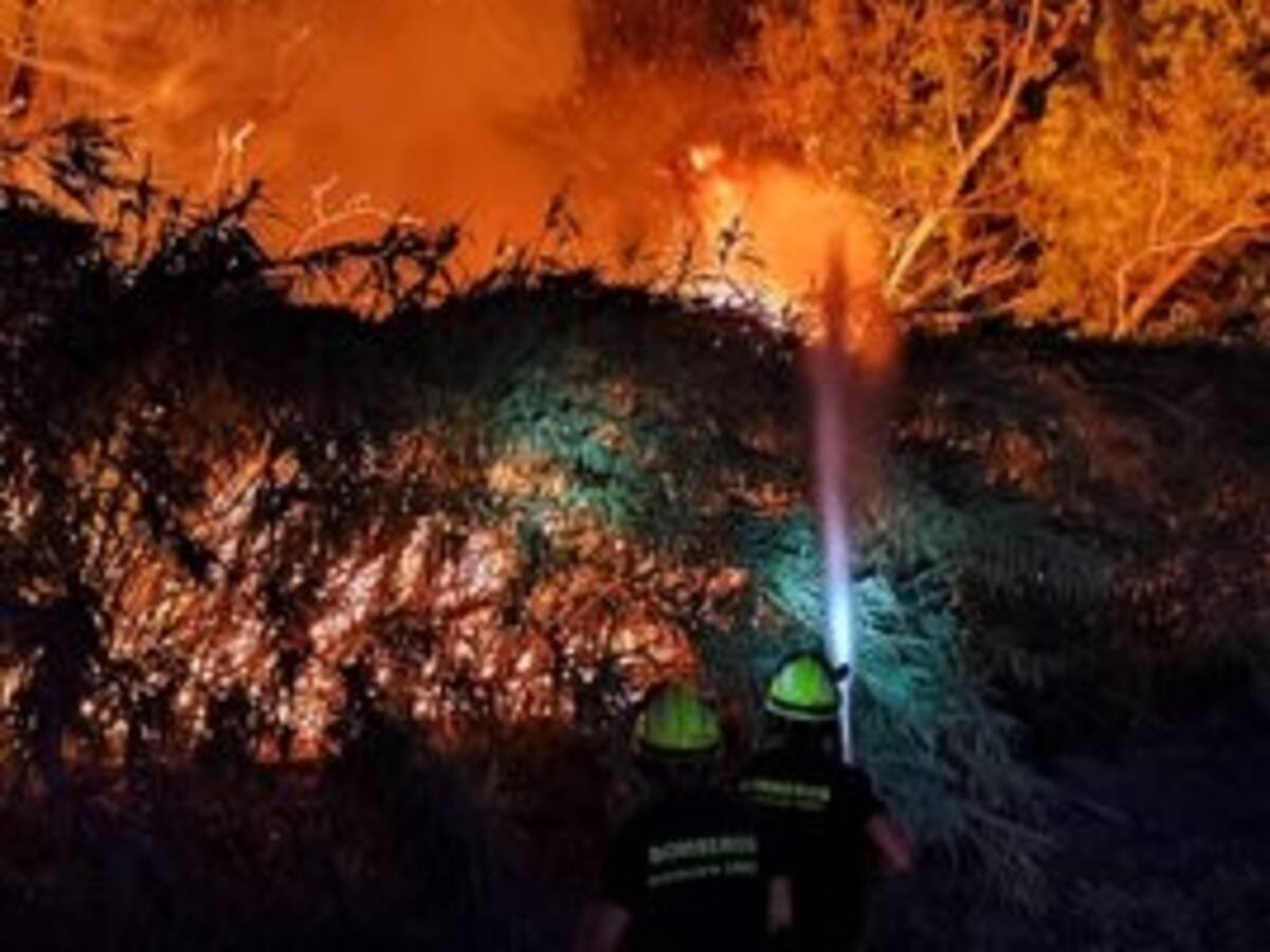 Los vecinos afectados de "drama" una semana después del inicio del incendio de Jerez