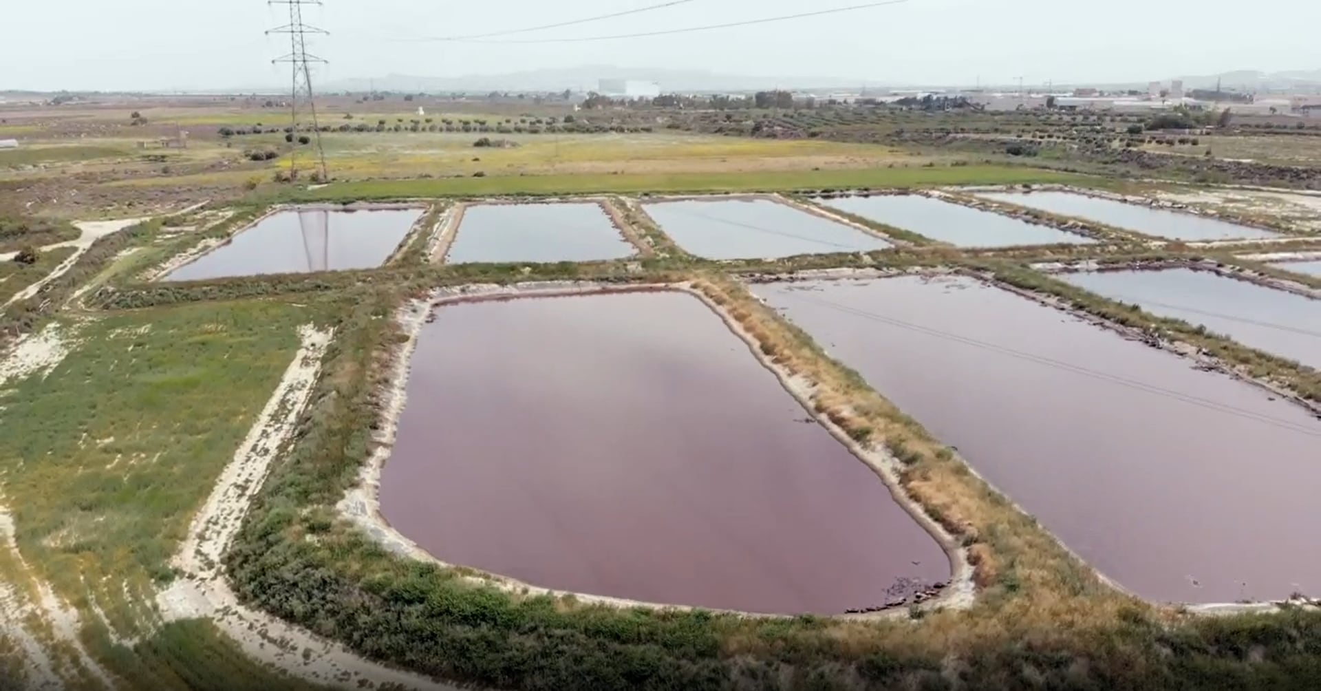 Balsas de purines en una explotación ganadera de Alhama