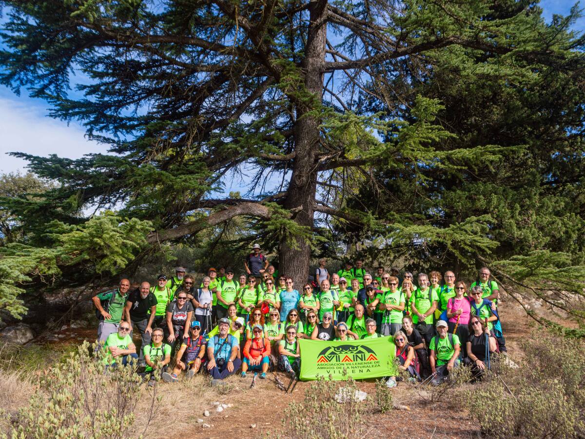 Aviana en Bocairent, Camping de Mariola y Más de Malagana