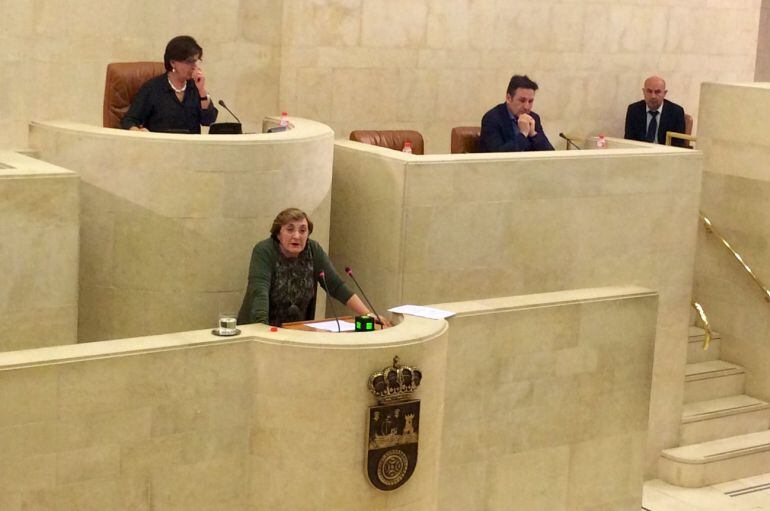 La consejera de Sanidad, María Luisa Real, en el Parlamento.