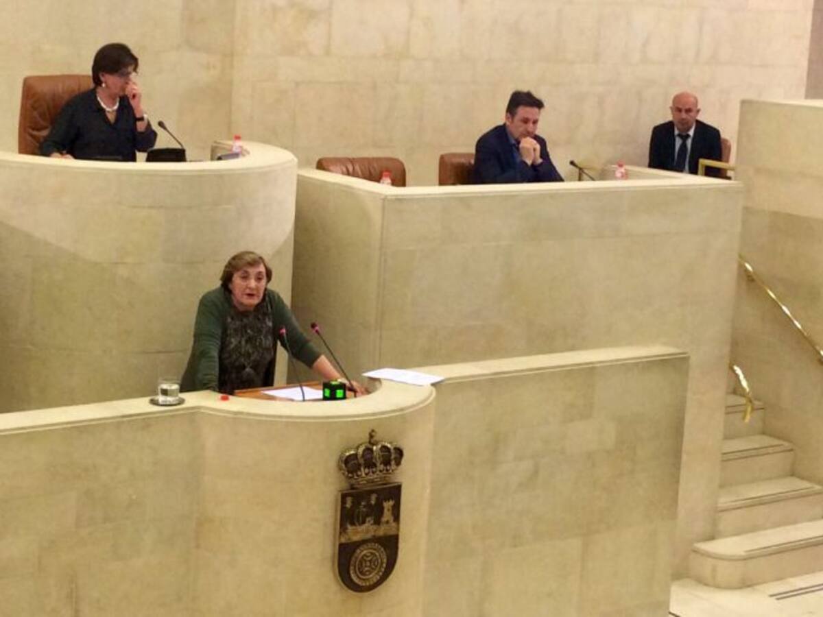 La ausencia por enfermedad de Van den Eynde tumba la reprobación de la consejera de Sanidad