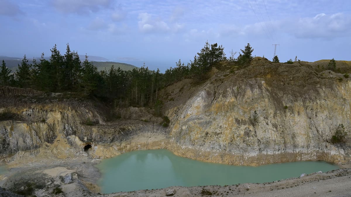 Tertulia de Políticos (05/02/2026)