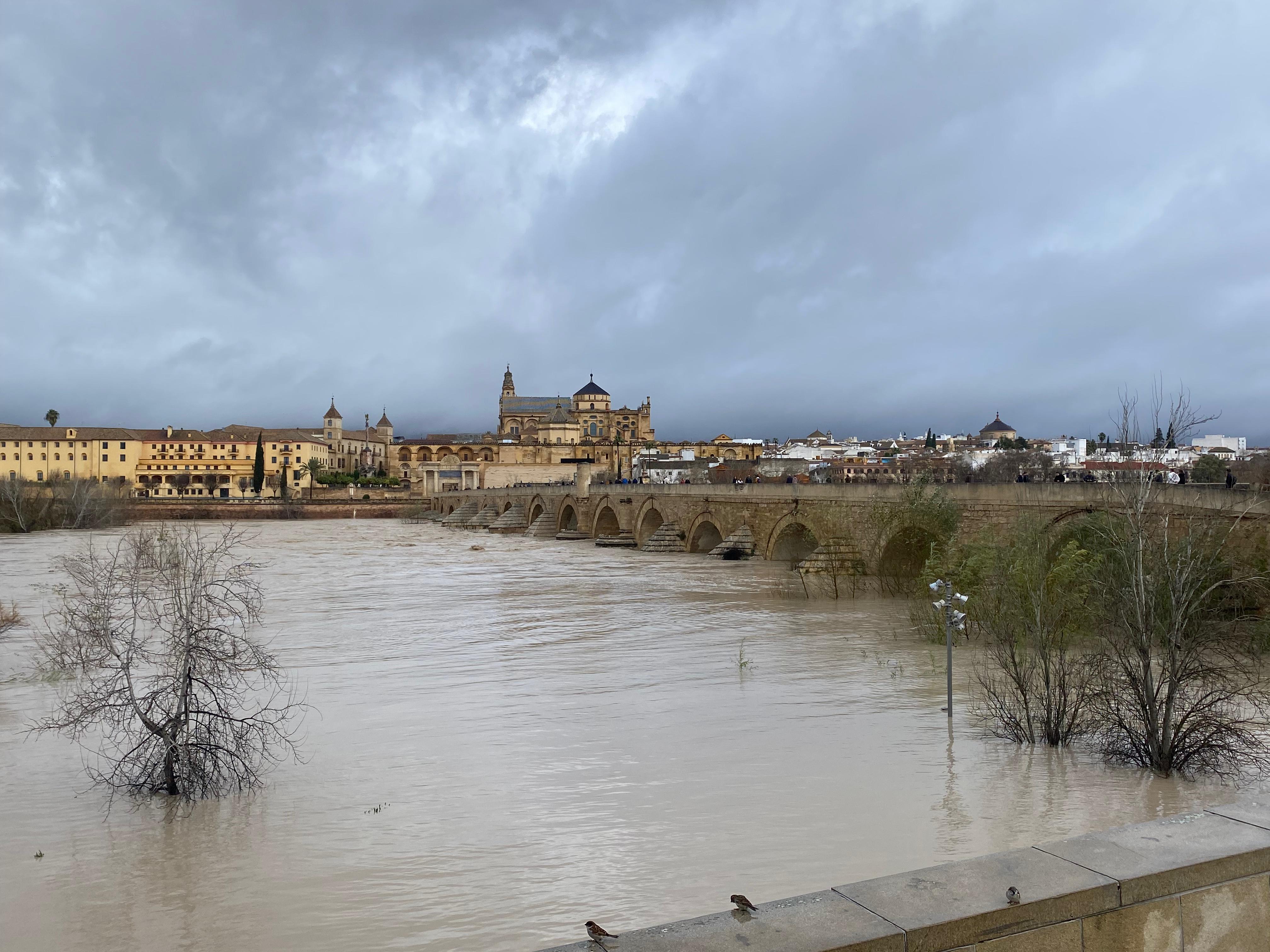 Río Guadalquivir a su paso por Córdoba