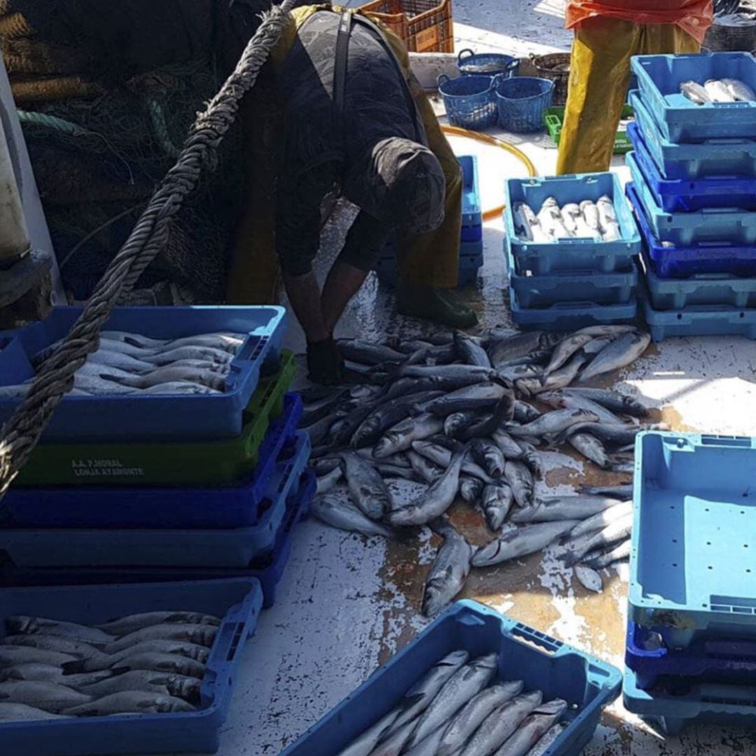 Pescadores de Santa Pola faenando.