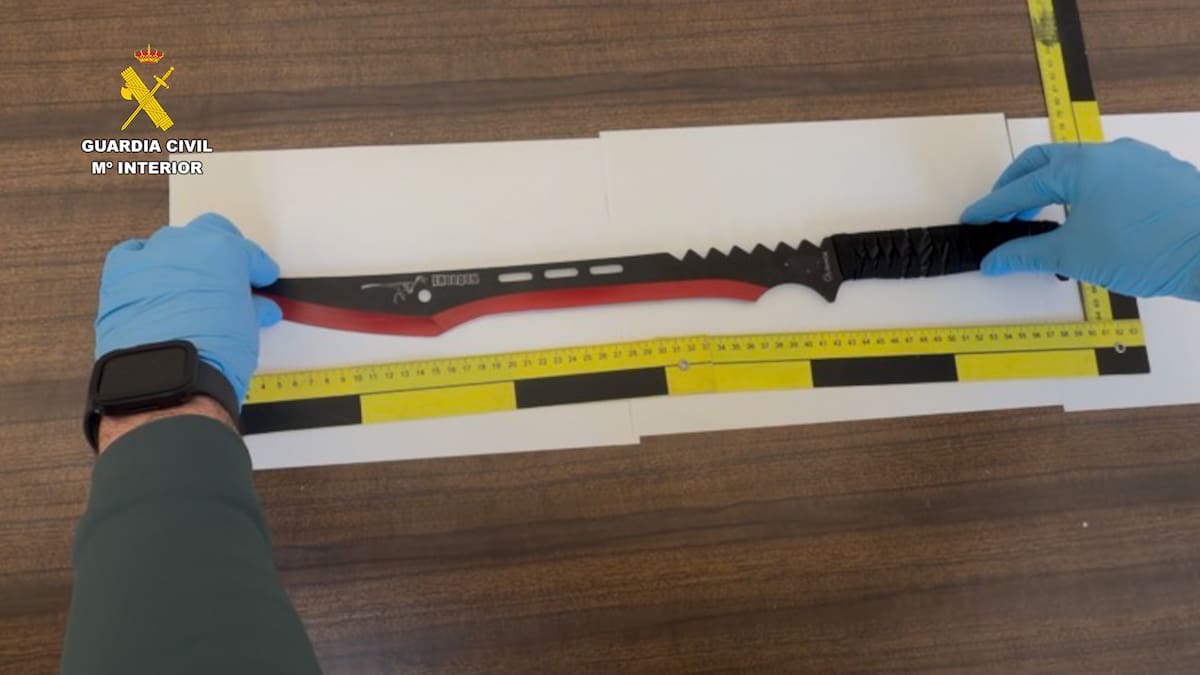 Detenidos cinco jóvenes por intentar secuestrar a un vecino en Torre Pacheco