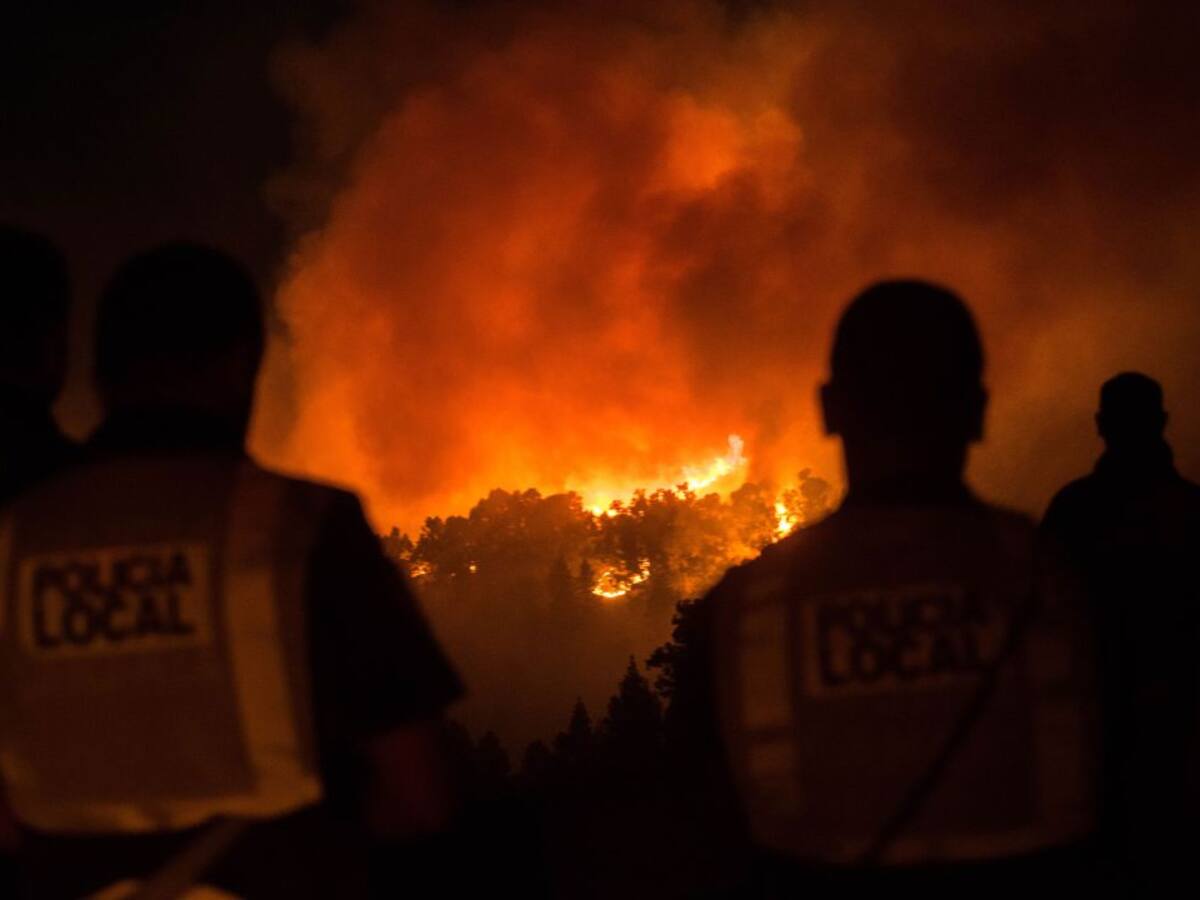 ¿Quién se beneficia de un incendio forestal?