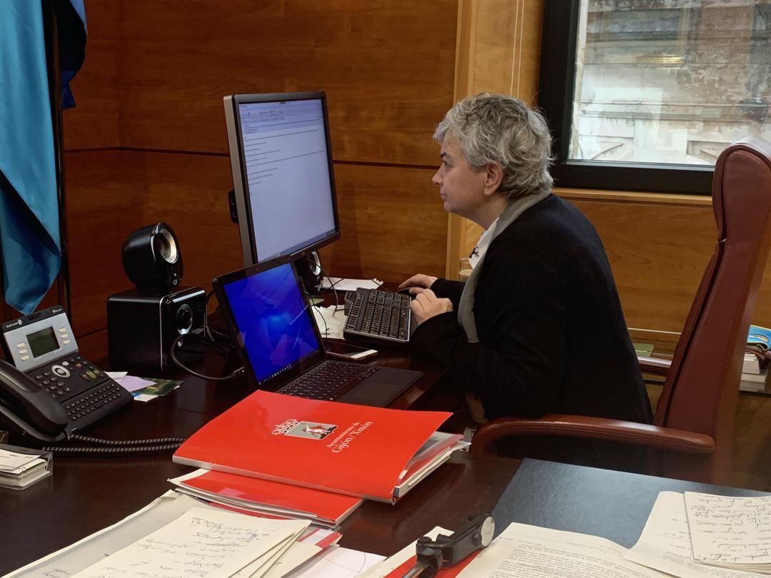 Ana González durante una reunión telemática. 