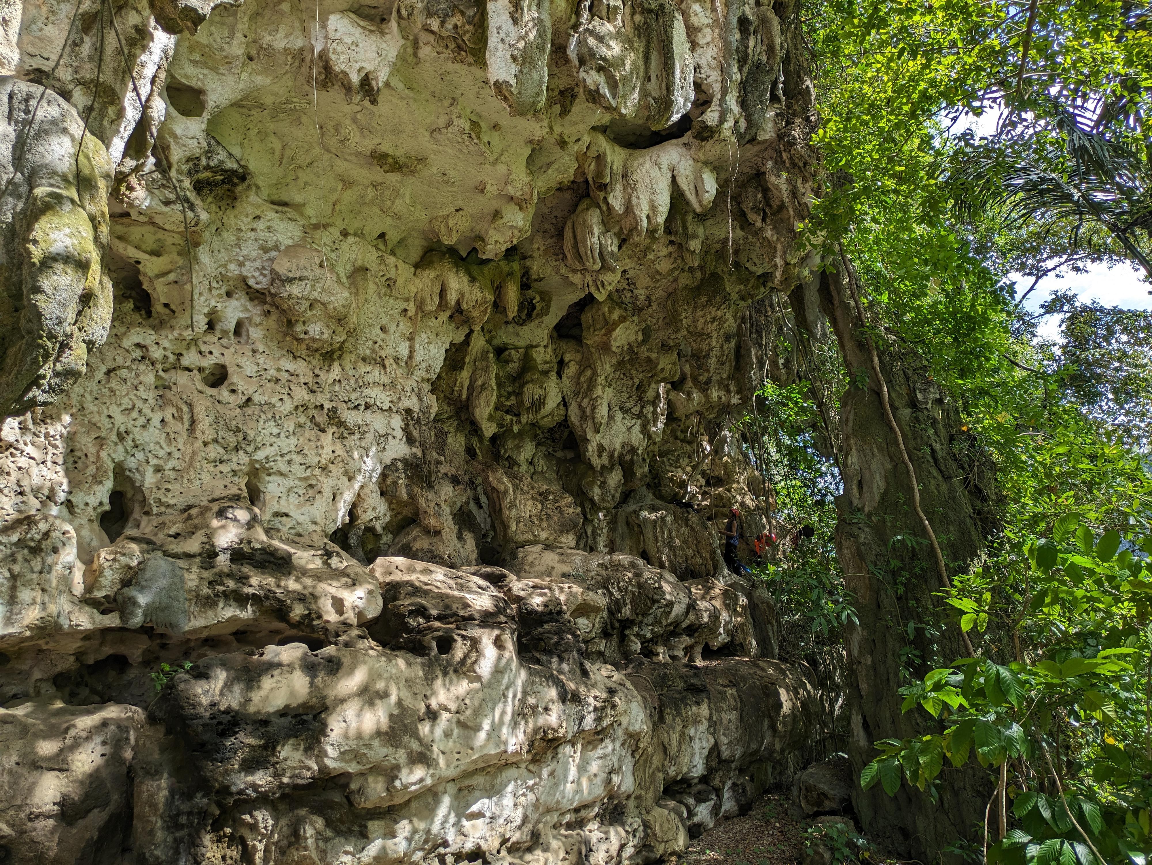 Entrada al yacimiento de Leang Karampuang, en la isla de Sulawesi, indonesia. Crédito: Google Arts & Culture