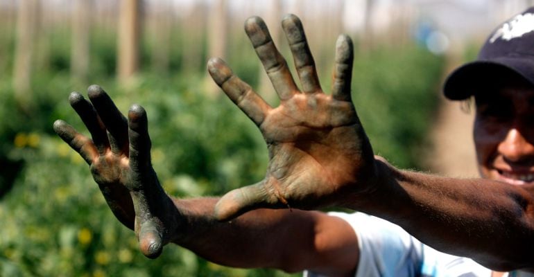 Jornaleros con manos teñidas de tierra