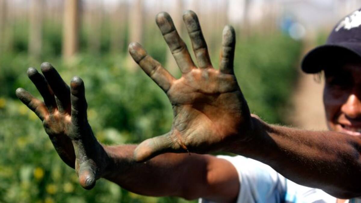 Jornaleros en el origen del pensamiento político andaluz