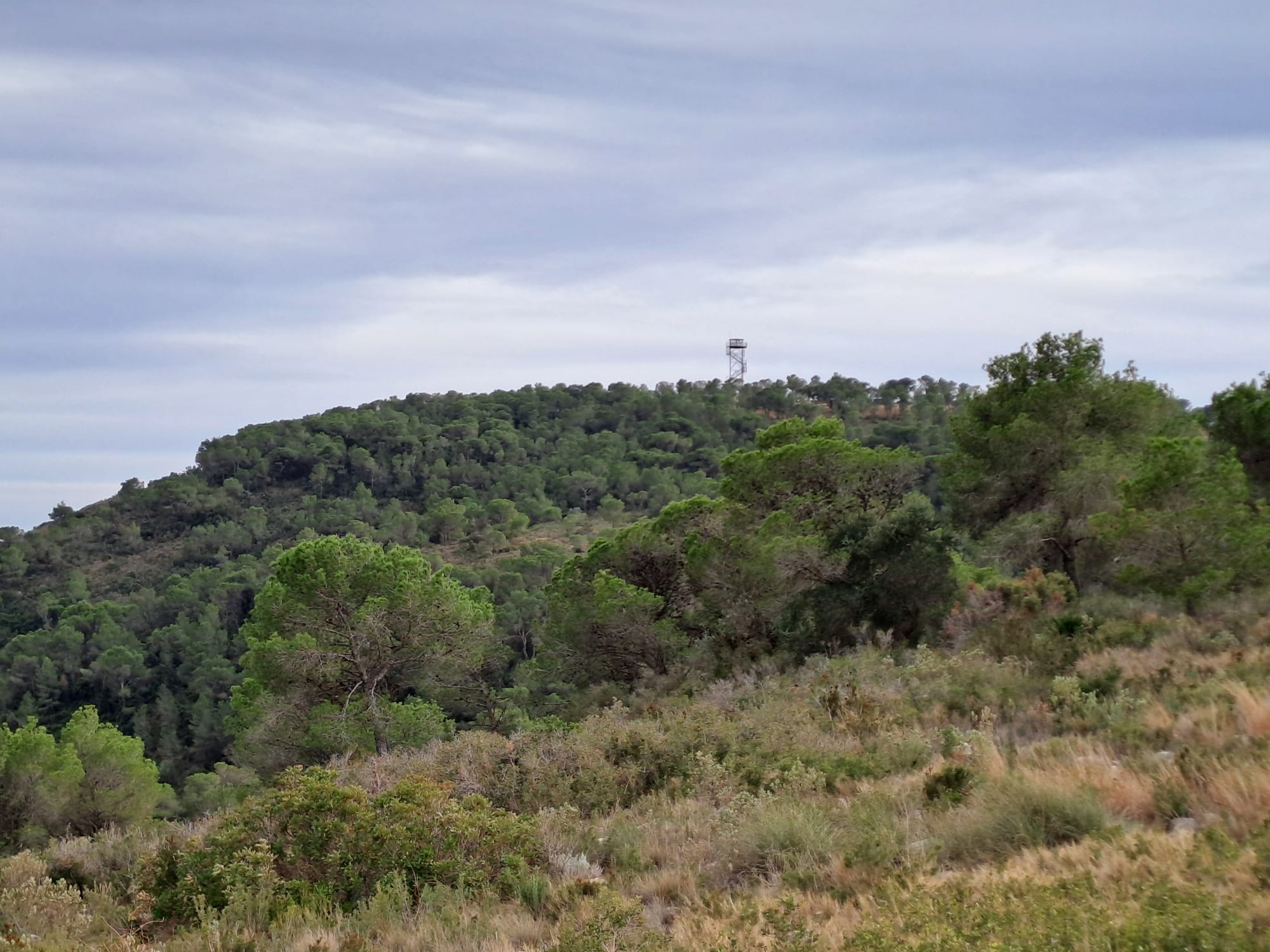 Un observatorio forestal de la Comunitat Valenciana en una imagen de archivo.