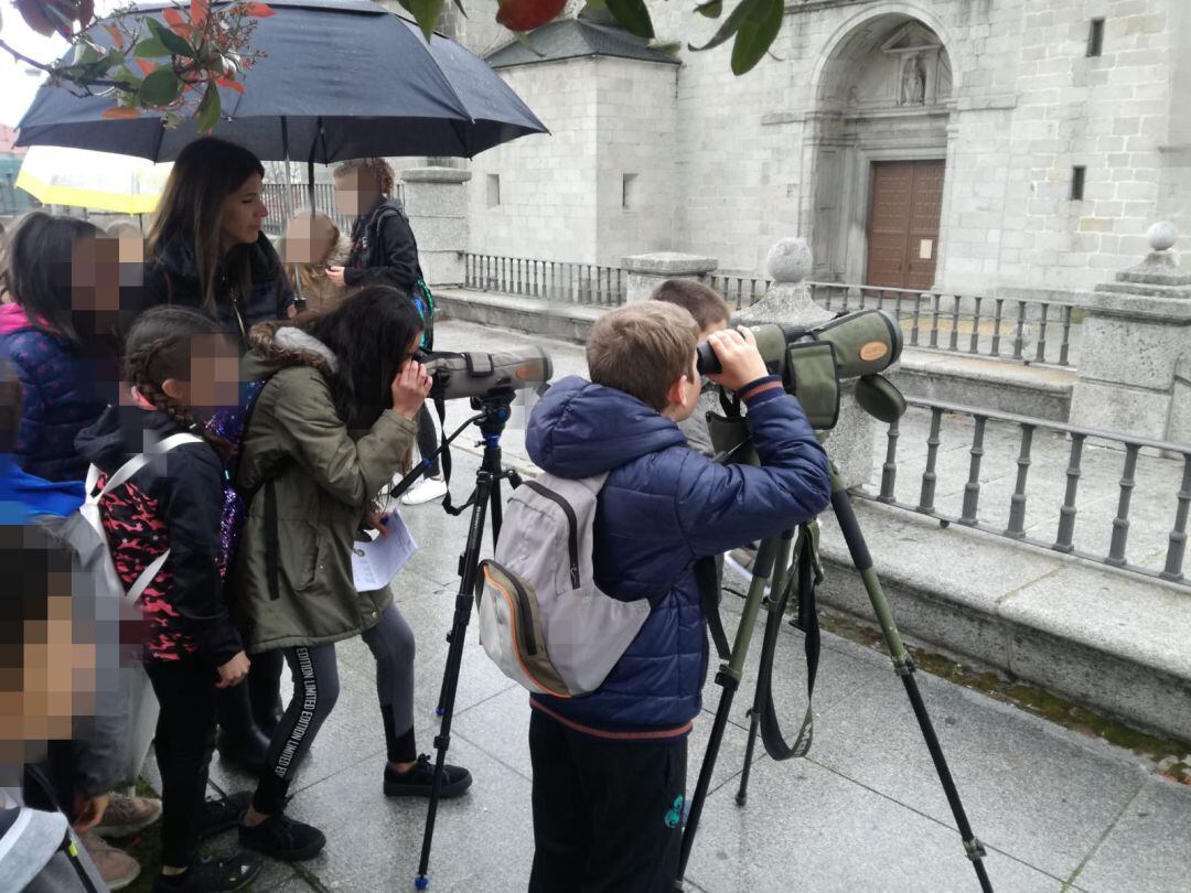 Escolares de El Espinar observan a cigüeñas dentro de su investigación