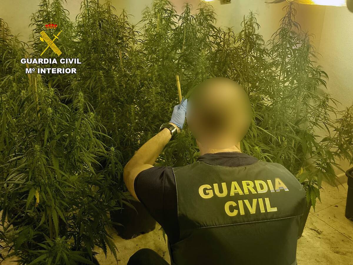 Detenido por producir y vender droga en su vivienda de Mazarrón