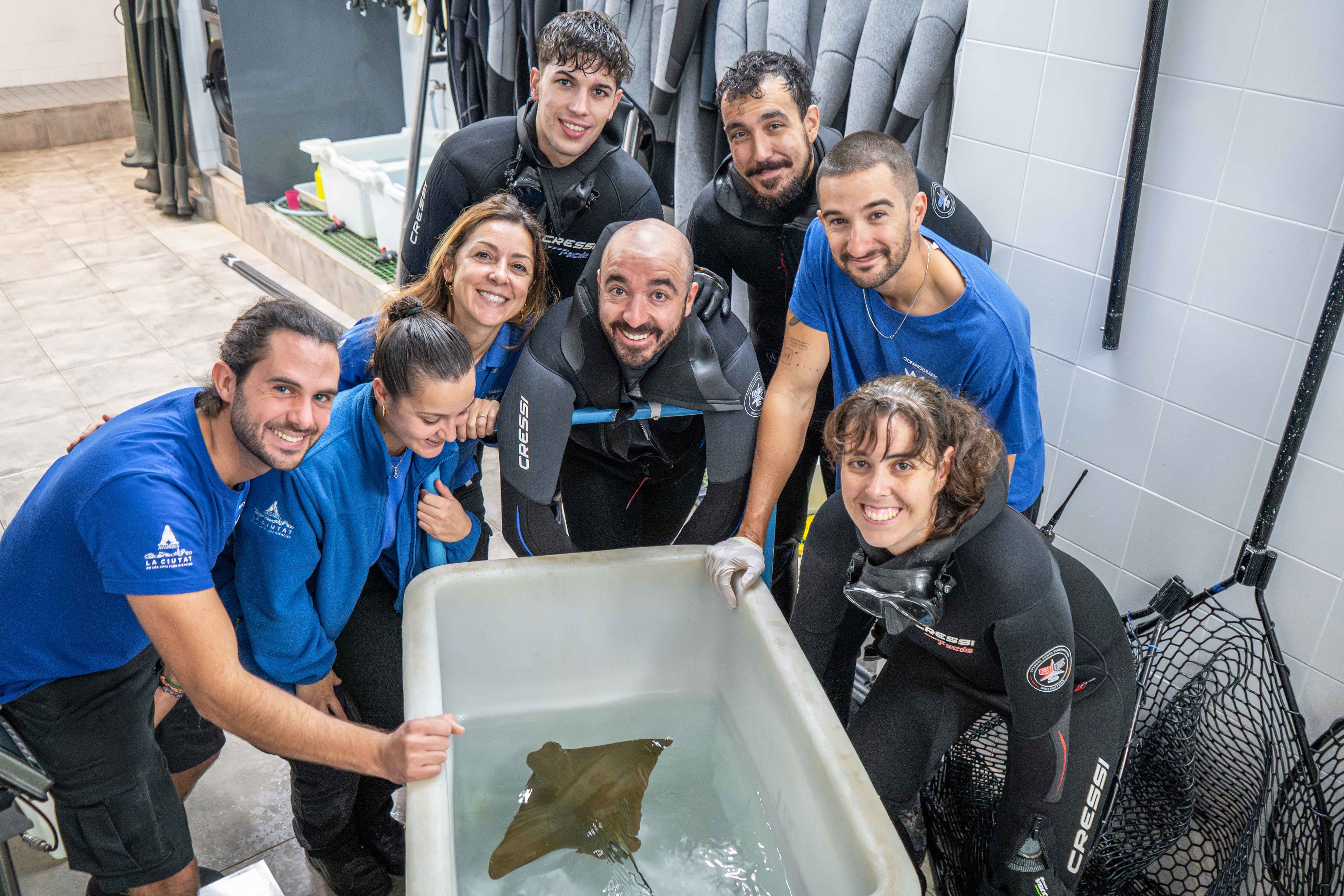 El equipo del Departamento de Océanos del Oceanogràfic junto a la Rhinoptera marginata