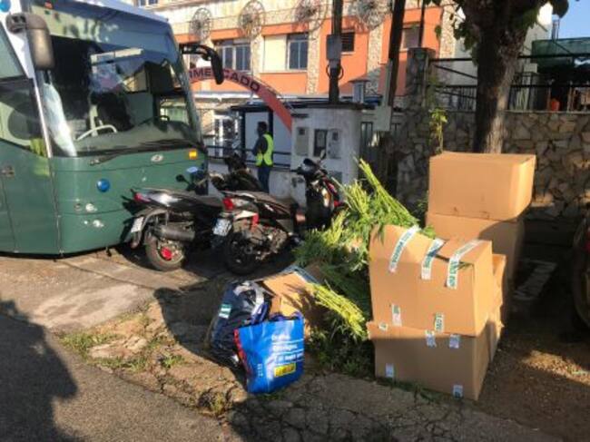 Les caixes amb plantes de marihuana