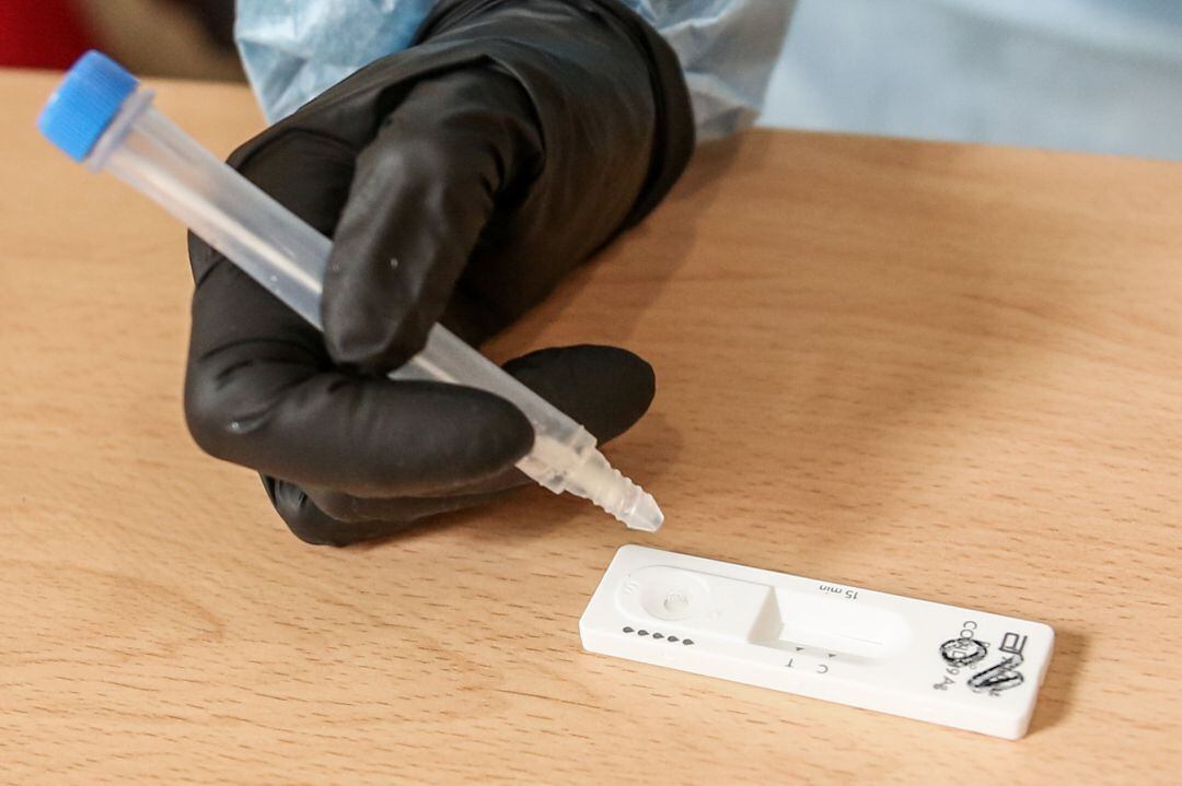 Cuatro nuevos brotes en Segovia