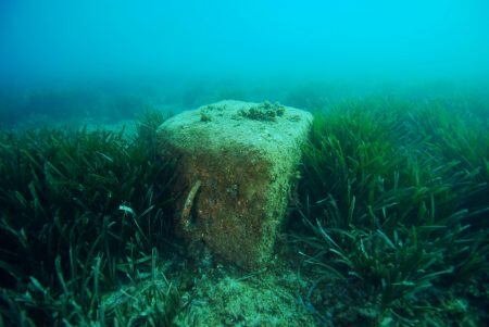 Bloc de formigó sobre posidònia.