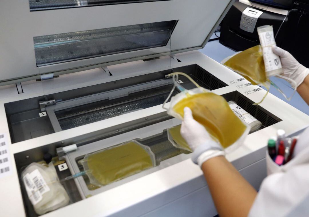 Mientras sigue la carrera hacia la vacuna del coronavirus, cientos de personas que ya han pasado la enfermedad aportan su granito de arena donando plasma hiperinmune en el Centro de Transfusión de la Comunidad de Madrid.