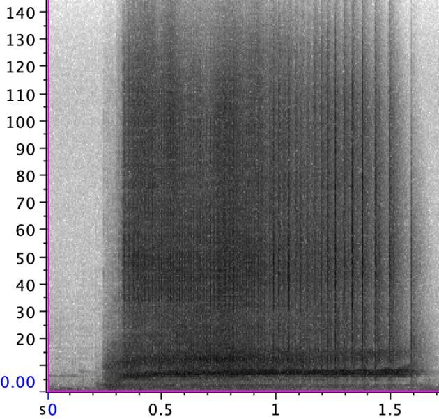 Espectrograma de la madre Yulka