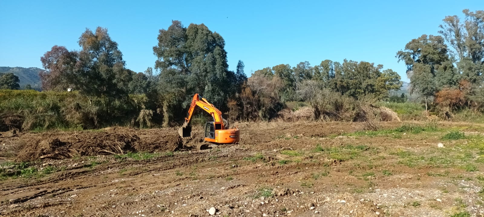 Limpieza del río Guadalhorce