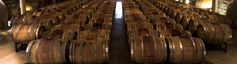 Vista general de una bodega con barriles de vino.