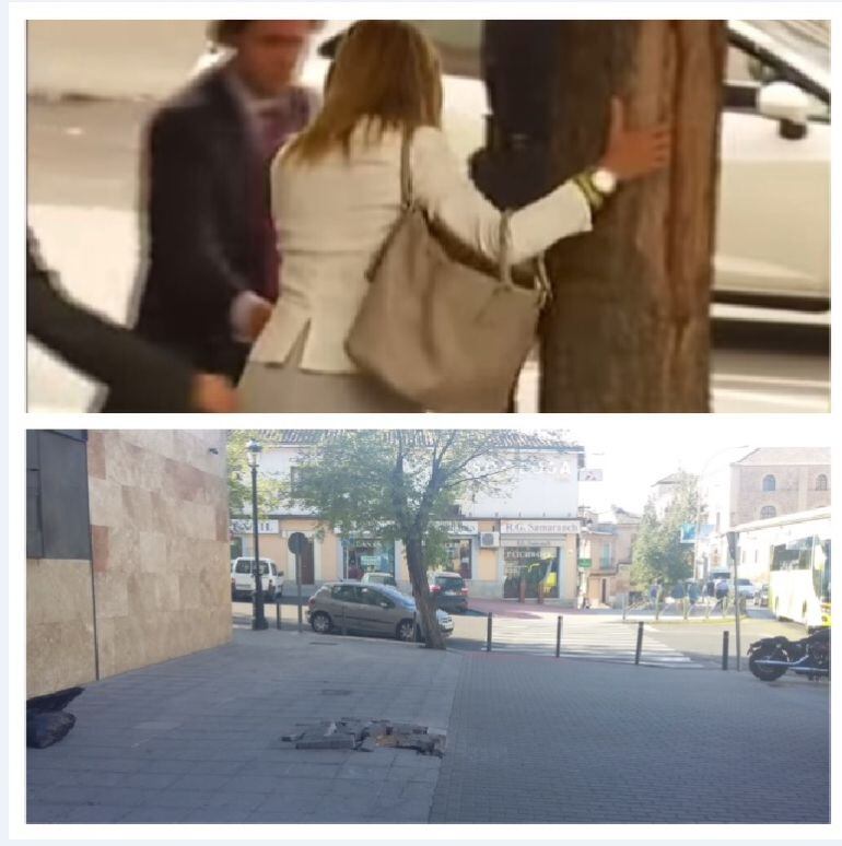 Antes y después del &quot;Árbol de Cospedal&quot;.