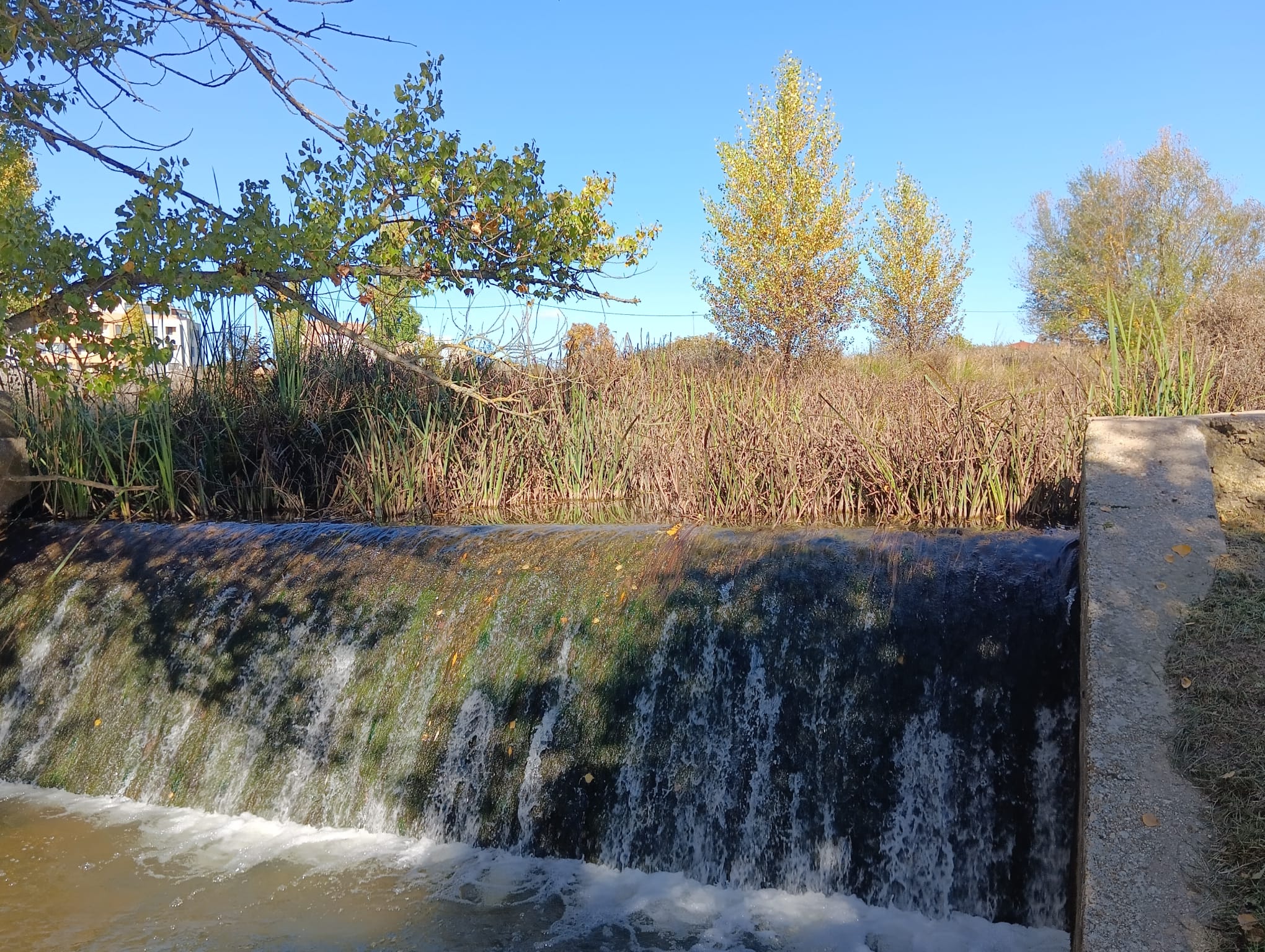 Río Bañuelos a su paso por el casco urbano de Aranda de Duero