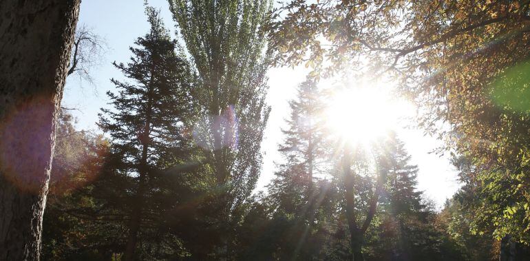 En &quot;SER Viajeros Castilla-La Mancha&quot; descubrimos lugares de ensueño de los que disfrutar del otoño en nuestra región