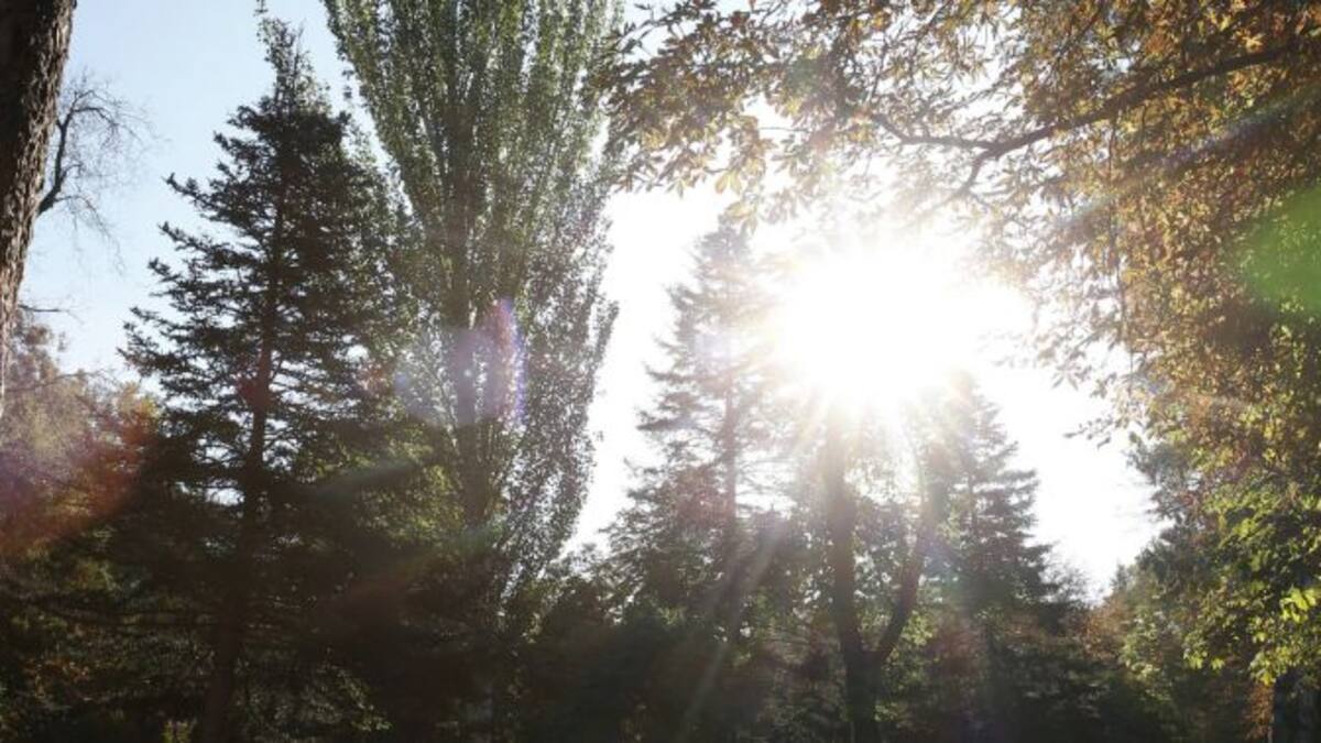 Lugares de ensueño para disfrutar del otoño en Castilla-La Mancha