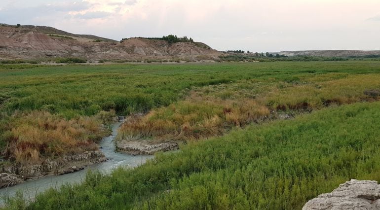 La cola del embalde del Negratín (Granada), convertida en un gran humedal