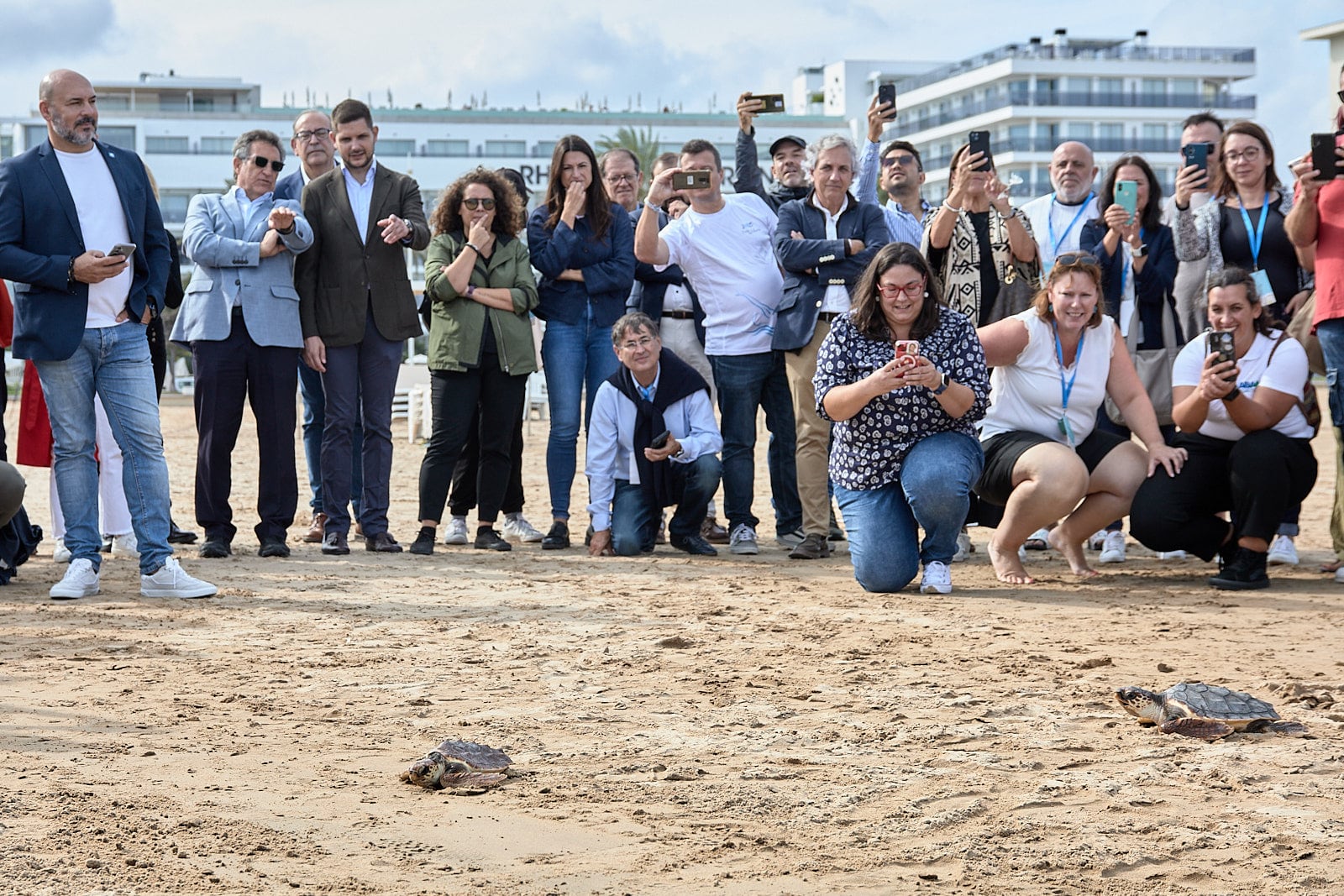 Autoridades observan la suelta de tortugas en la playa de Gandia