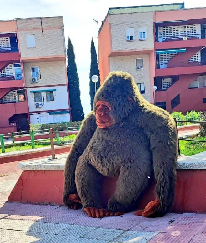 El peluche en la plaza Santa Elena