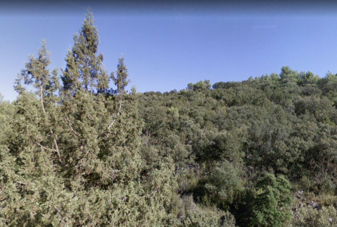 Montes del término municipal de Andilla