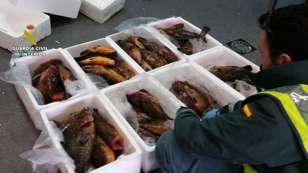 Parte del pescado decomisado