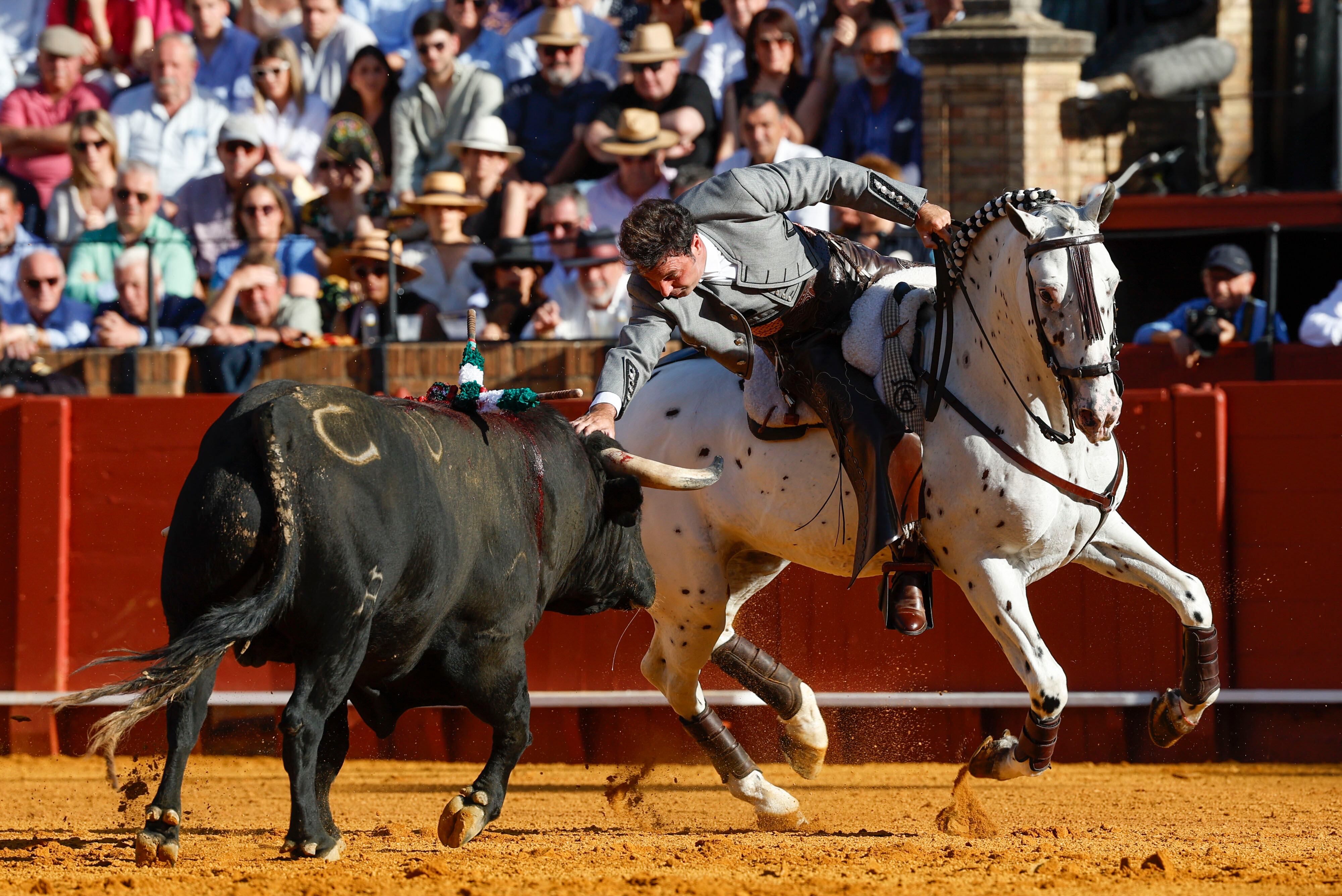 SEVILLA, 19/04/2026.- El rejoneador Andy Cartagena en su faena al primero de su lote durante la corrida de rejones que se celebra este domingo en la plaza de toros de La Maestranza, en Sevilla. EFE / Julio Muñoz.