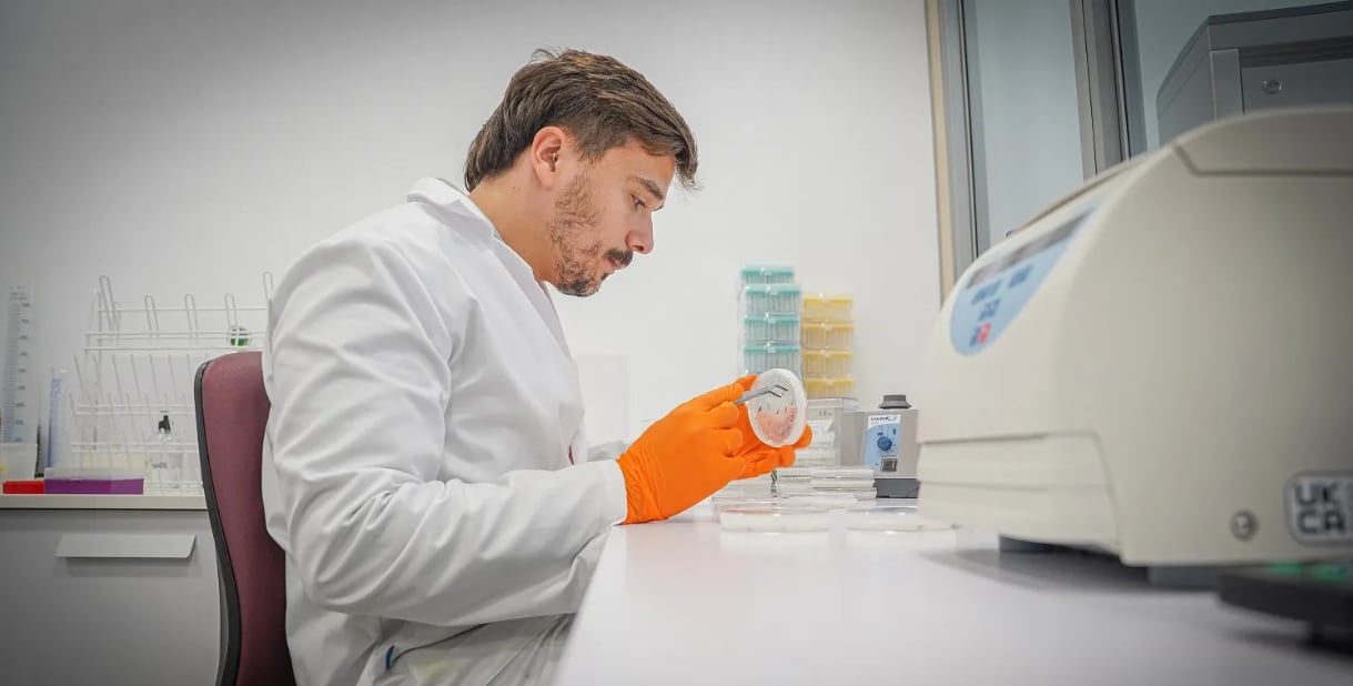 Investigación en el AINIA (REDIT)