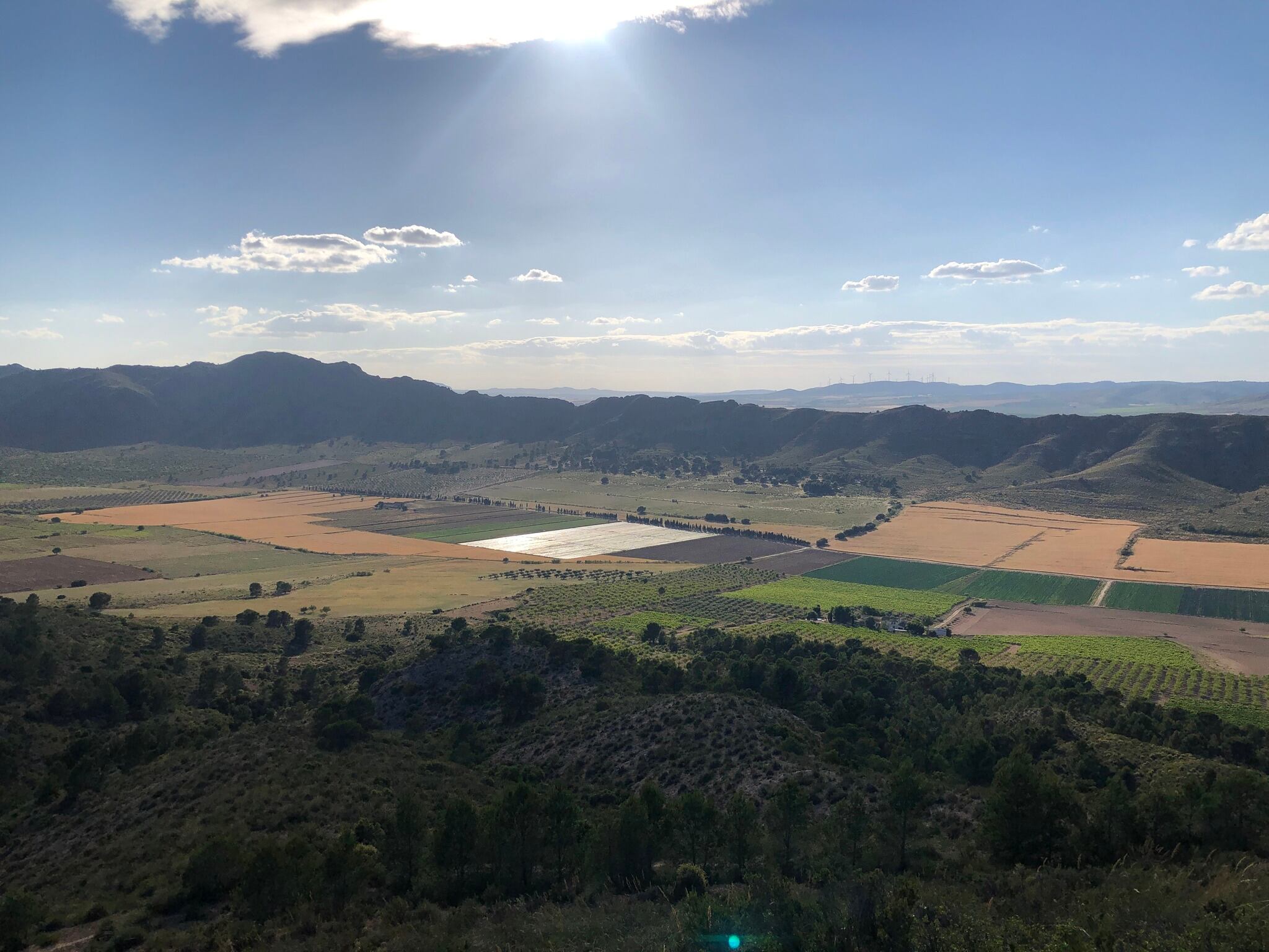 Paisaje del termino municipal de Caudete